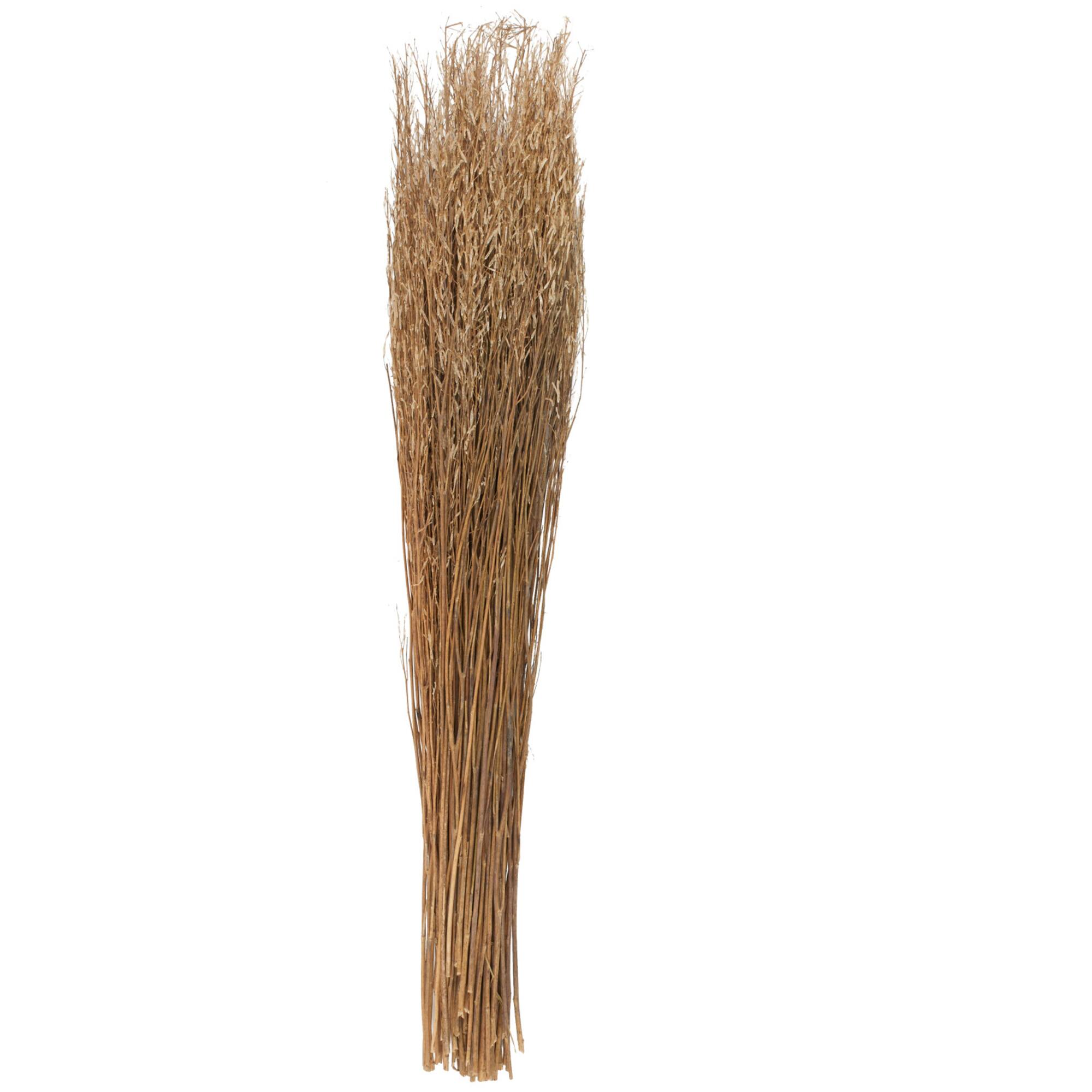 42" Brown Dried Natural Mustard Plant Foliage
